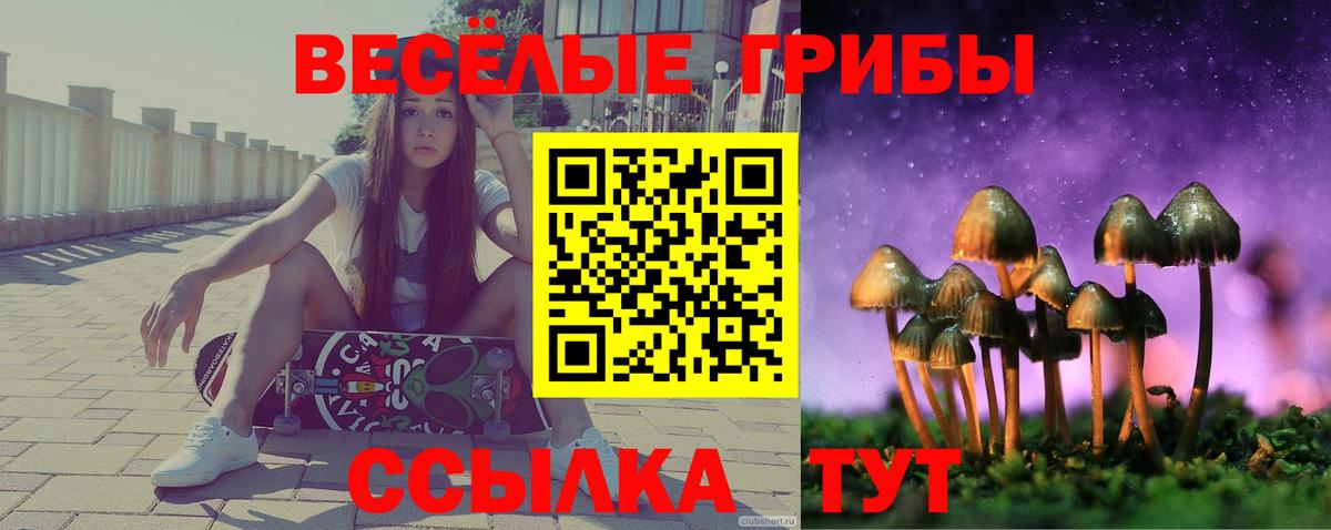 Галлюциногенные грибы MAGIC MUSHROOMS  Галлюциногенные грибы прущие грибы  Вход с VPN  Ейск 