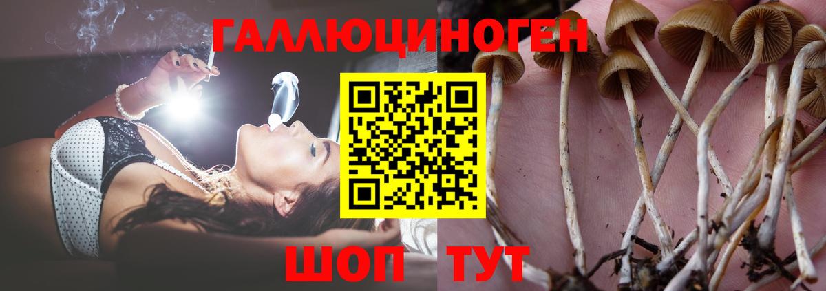 Галлюциногенные грибы MAGIC MUSHROOMS Ейск